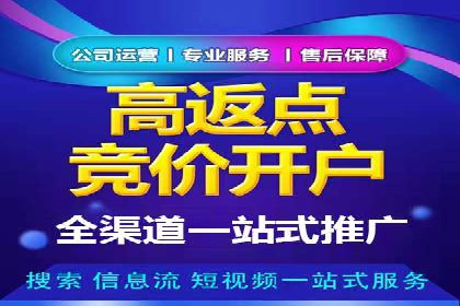 竞价托管策略调整：一则快速提升排名的案例